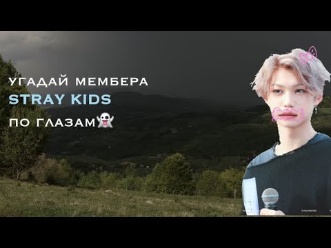 Видео: Угадай мембера Stray Kids по губам//1 часть?!?\\🩸