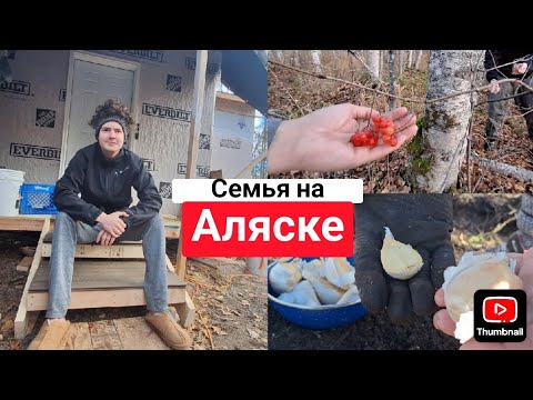 Видео: Наконец-то Поставили Двери(часть 4)| Ездили по Ягоды|Посадили Чеснок на Зиму (No 23)