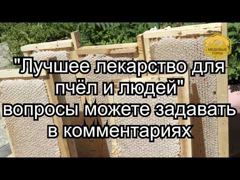 Видео: Ветом. В.Г. Кашковский.