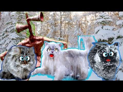 Видео: СИРЕНОГОЛОВЫЙ выкинул КОШЕК на МОРОЗ! ДОМАШНИЕ Кошки НЕ МОГУТ жить на УЛИЦЕ...