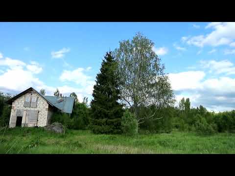 Видео: лето  Территория Усадьба для Экотуризма на уч ке 1 га дер Рябутки