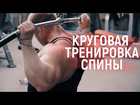 Видео: СПИНА - Круговая тренировка