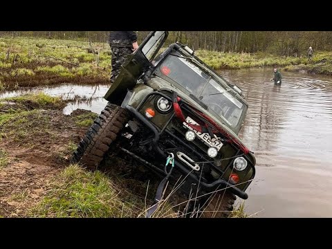 Видео: Рейд памяти СИНЯВИНСКИЕ ВЫСОТЫ 2024
