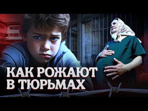 Видео: Рождённые в неволе | Истории беременности и родов в ИК-6