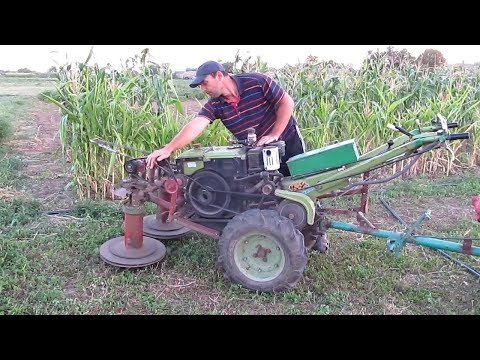 Видео: Мотоблок косит кукурузу 2ч. (захват 105 см)