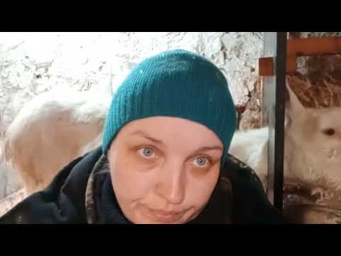 Видео: Плохие новости.  Белковое отравление.