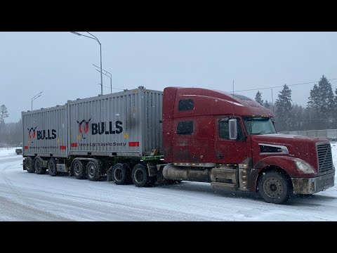 Видео: Новогодние движения 🎅🏿 🎄