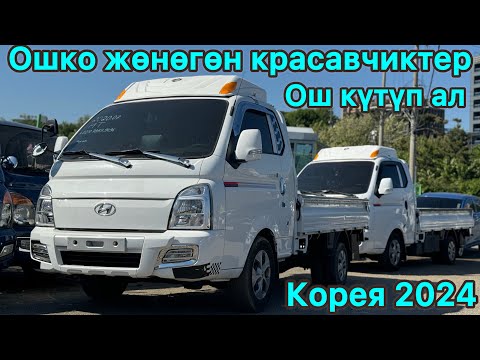 Видео: Ошко таза 4 Портер жана Спарк жүктөлдү, Корея 2024 +821079399496