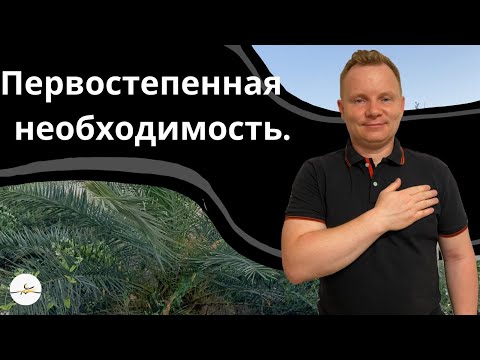 Видео: Плод Духа: Вера. - Вадим Криничный