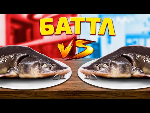 Видео: МЕГА БАТТЛ / ОСЕТР