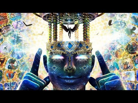 Видео: Кто мы