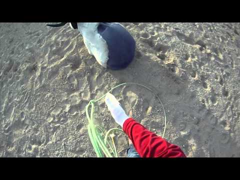 Видео: Учимся лазать по канату: шаг 4. Учимся качаться