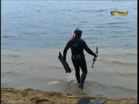 Видео: Подводная охота (А.Кочубей): От Вышнего Волочка до нижней Волги.