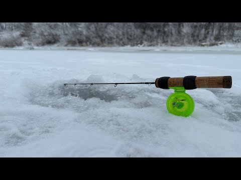 Видео: Блесна за 50 рублей творит чудеса. Зимняя рыбалка 2025
