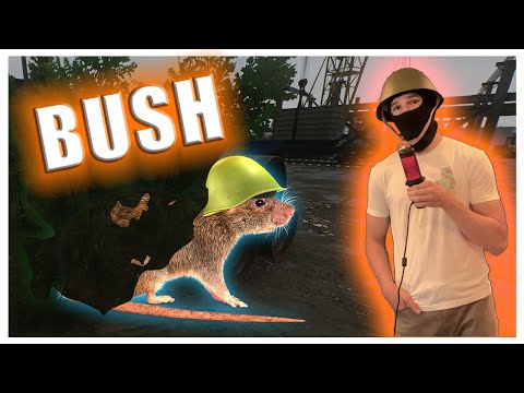 Видео: «Правильный» способ играть в Тарков