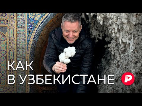 Видео: Хлопок, оттепель и задержание на съемках. Большой выпуск из Узбекистана