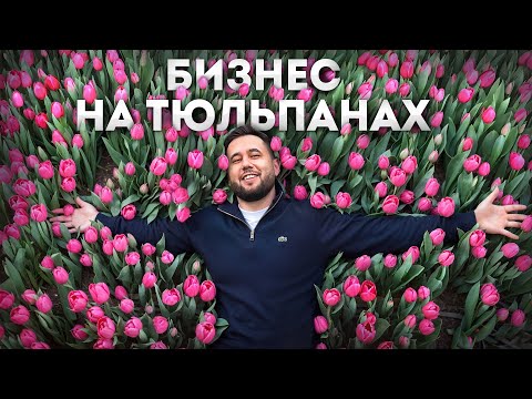 Видео: Бизнес на тюльпанах. Выращивание тюльпанов. Тепличный бизнес