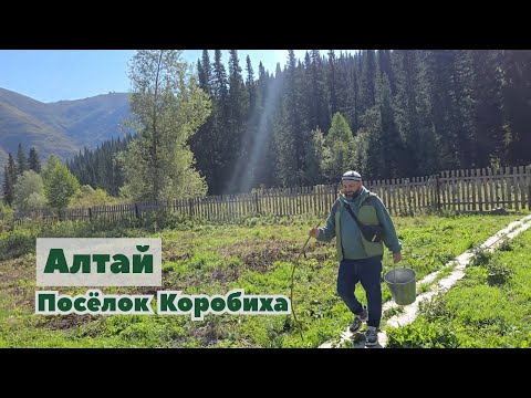 Видео: Vlog 06/Алтай/Посёлок староверов. Краеведческий музей Коробихи.