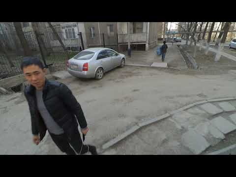 Видео: Аламедин 1