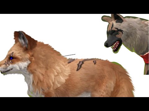 Видео: Я обрабатываю лису