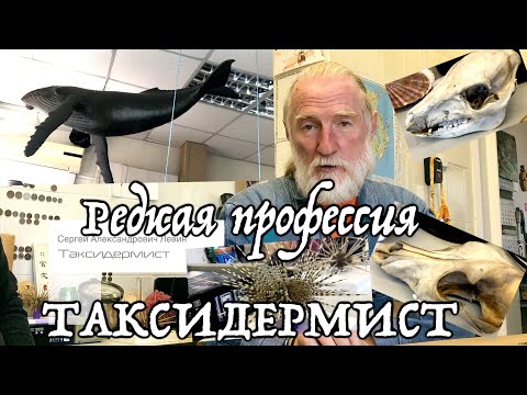Видео: Редкая профессия Таксидермист