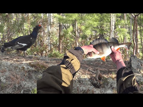 Видео: Забросили в тайгу ХМАО-Югры на рыбалку. Часть 2. Один в тайге.