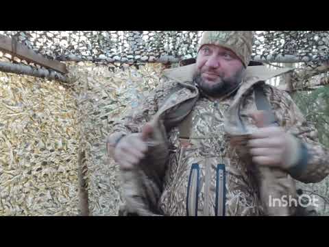 Видео: утренняя и вечерняя зорька из жизни охотника.