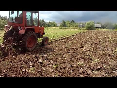 Видео: Трактор т 25 Пахота Июль 2022