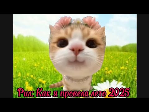 Видео: Рил: Как я провела лето 2025 🌼. Футажи в моём телеграм канале. Мемы с котами. Смешные котики. 