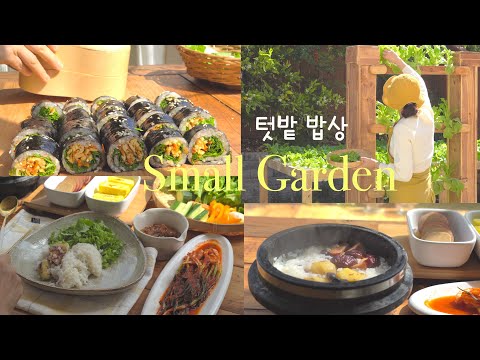 Видео: У меня была мечта выращивать овощи в маленьком гидропонном саду 🥘 Салат из листьев салата