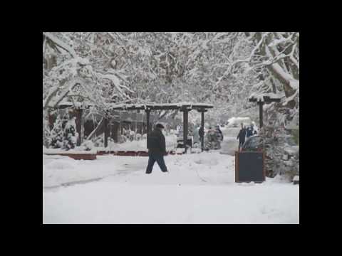 Видео: Вършец  - 29.  11.  2018 г.