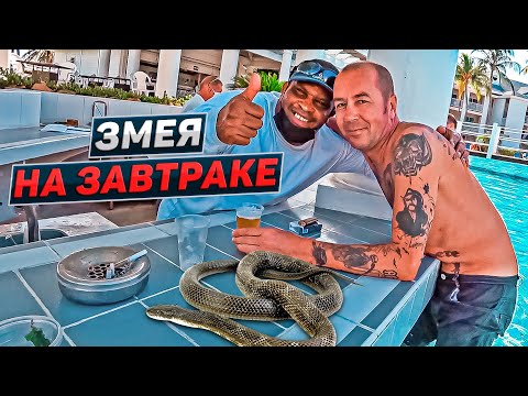 Видео: Что наливают в отеле Melia Peninsula Varadero? Куба