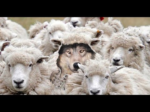 Видео: ВОЛК В ОВЕЧЬЕЙ ШКУРЕ (Titanfall 2)