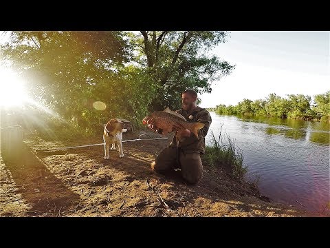 Видео: Рыбалка! Просто Огонь!Жизнь в Палатке На Диком Берегу.Копчёный Сазан.