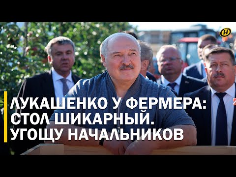 Видео: Лукашенко: ЕСЛИ? Поснимаю головы, если не заполните. И НЕ КАРТОШКОЙ!/ В саду у яблочного айтишника