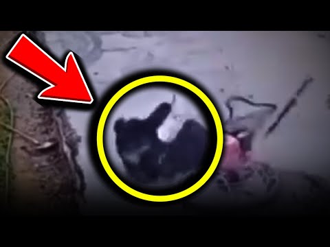 Видео: Он попытался управлять вращающейся машиной... Большая ошибка!