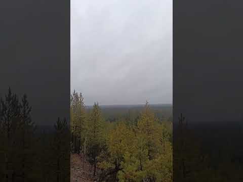 Видео: ШОФАР - Исаия 28:14-29, 1Царств 17:37,45-49 🏹🌪️⚔️