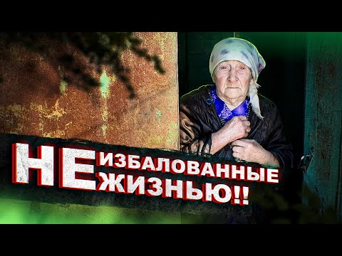 Видео: НЕ ПЛАЧЬ, БАБУШКА НЮРА!