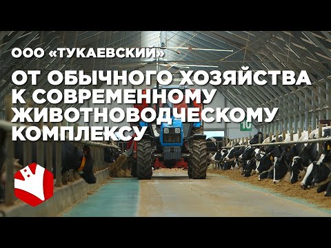 Видео: Путь к современному молочному комплексу | Молочное скотоводство