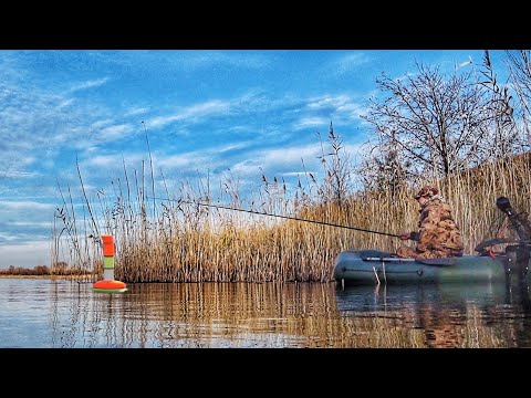 Видео: ВОТ ЭТО РЫБАЛКА В НОЯБРЕ! Я И НЕ ДУМАЛ ЧТО ТАКОЕ ВОЗМОЖНО! Рыбалка на поплавок. Ловля сазана, карася