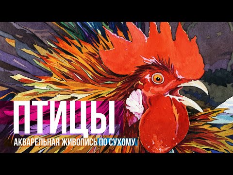 Видео: Птицы. Долго, сложно и очень красиво. Техника живописи акварелью по сухому