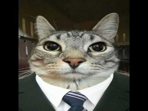 Видео: ПО ПРИКОЛУ СТАЛ ДЕПУТАТОМ В СВОЁМ ГОРОДЕ ЧТОБЫ ВАМ НЕ ПРИШЛОСЬ