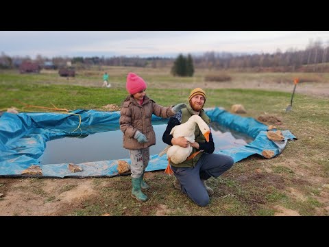 Видео: Начали делать пруд для гусей и уток.
