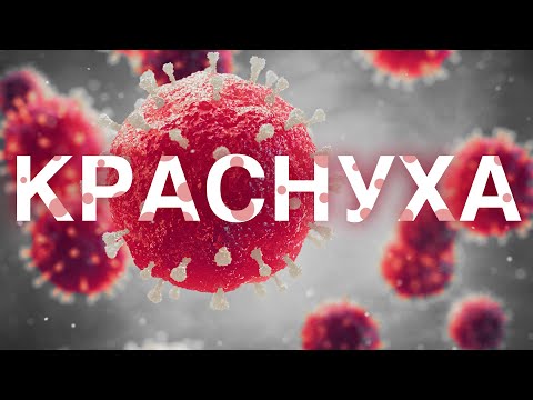 Видео: Краснуха / Rubella virus