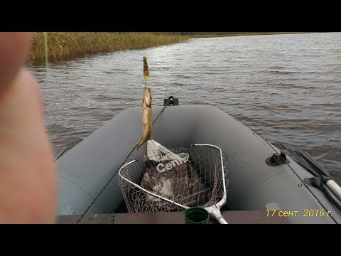 Видео: Обзор лодки Хантер 3000 ЛТ и якорная система на лодку ПВХ от автора ролика удачная рыбалка