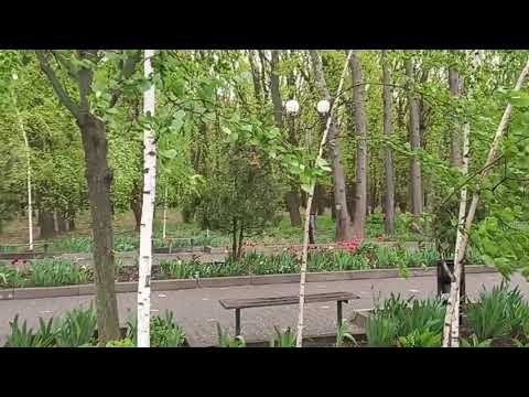 Видео: Денис Хотячук. Любимый город.