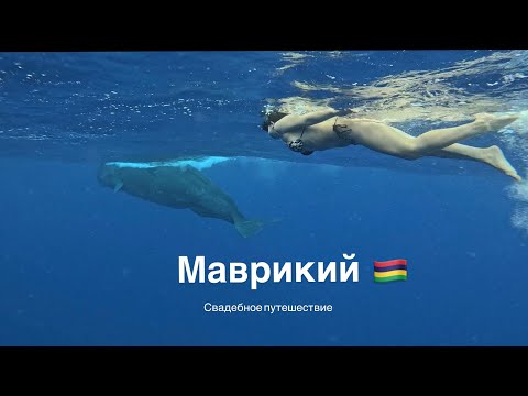 Видео: МАВРИКИЙ-ЭТО ЛЮБОВЬ🇲🇺| Свадебное путешествие| Киты| Завтрак с жирафами |Сафари 🦒🐳