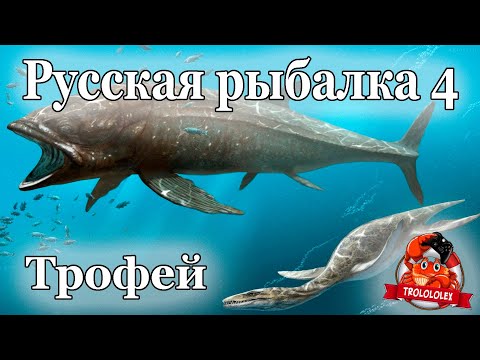 Видео: Русская рыбалка 4 Трофейная рыбалка Норвежское море