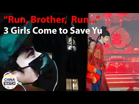 Видео: Чёрный лебедь, Чёрный лебедь, Юй Мэнлун: Никто не выжил/Пекинская полиция и они рано сели: странн...