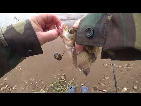 Видео: Рыбалка на реке Кама. район Берсут.